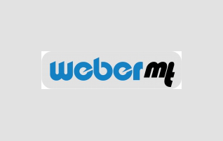 WEBER Usato